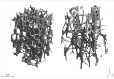clip_image002.png