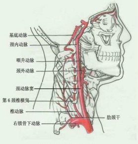 clip_image002.png