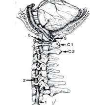 clip_image002.png