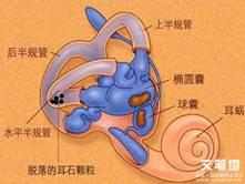 clip_image002.jpg