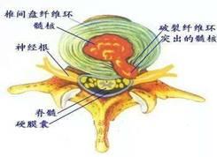clip_image002.jpg