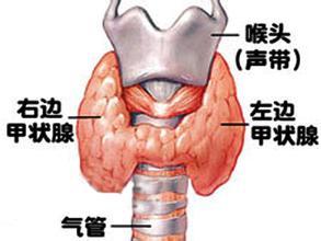 clip_image001.jpg
