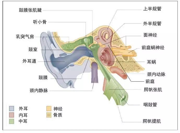 微信图片_20190320224258.jpg