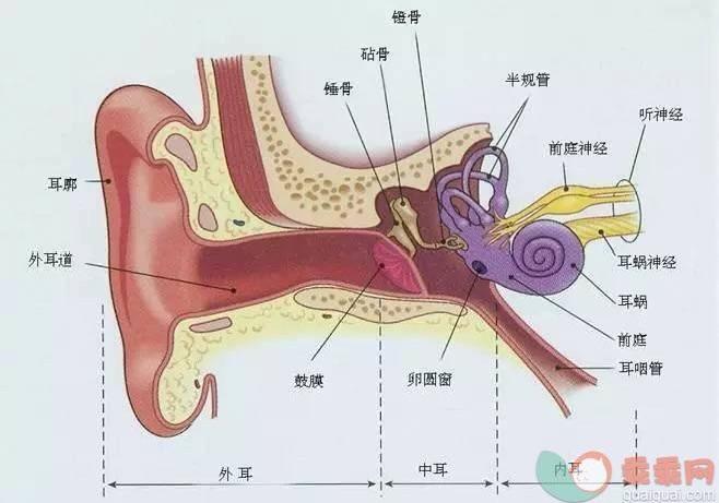 微信图片_20190323233355.jpg
