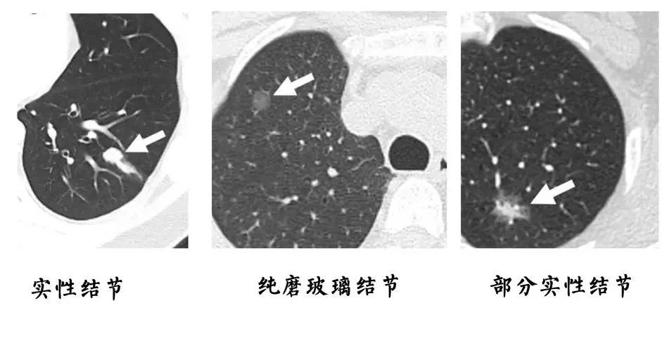 微信图片_20210922143006.jpg